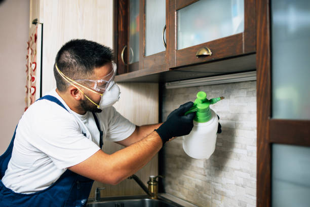 Best Pest Control Near Me in Blue Bell, PA