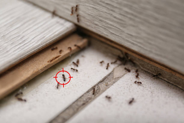 Best Commercial Pest Control Services  in Blue Bell, PA